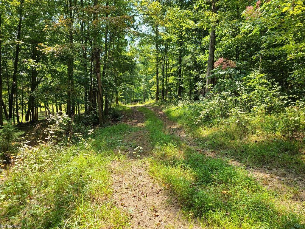 0 Grassy Knob Road, Unit 25 Pinnacle, NC 27043 - Photo 15 of 28