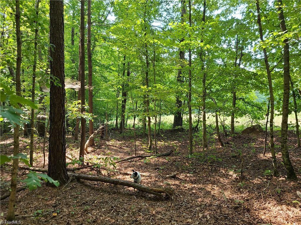 0 Grassy Knob Road, Unit 25 Pinnacle, NC 27043 - Photo 16 of 28