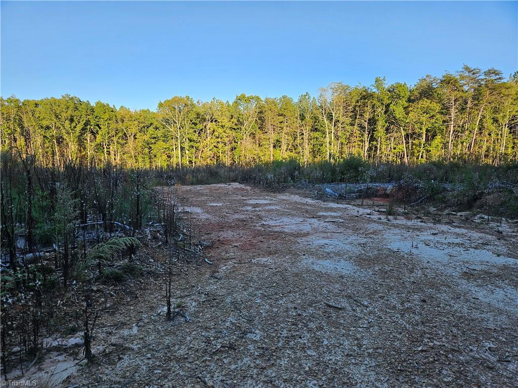 0 Grassy Knob Road, Unit 25 Pinnacle, NC 27043 - Photo 18 of 28