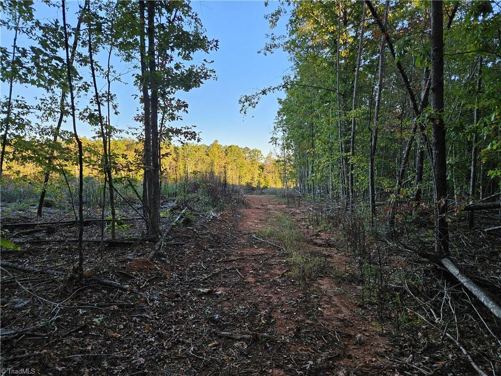 0 Grassy Knob Road, Unit 25 Pinnacle, NC 27043 - Photo 19 of 28