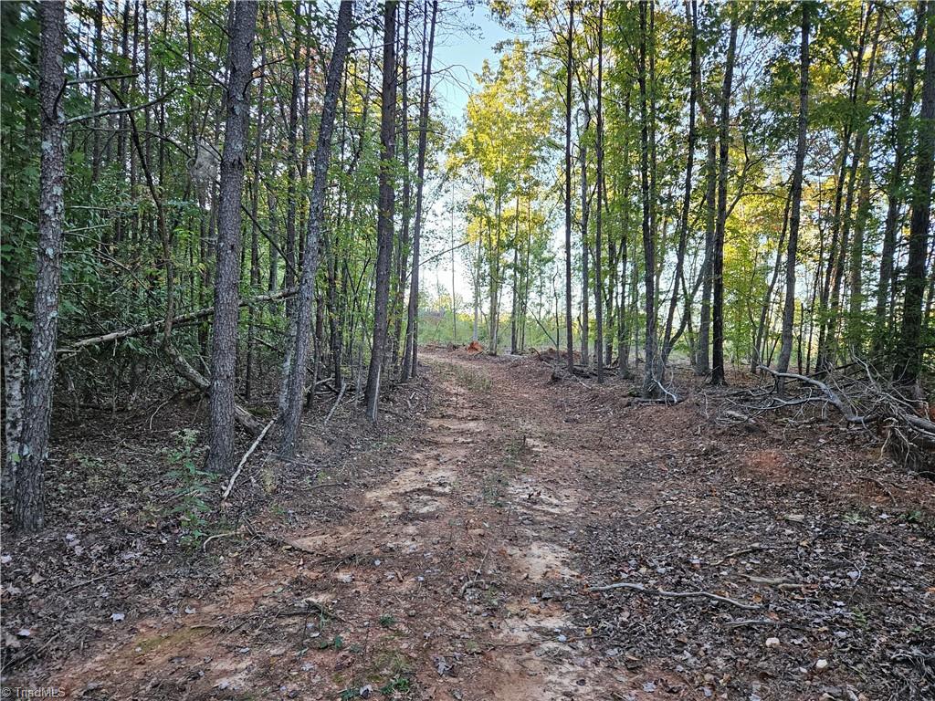 0 Grassy Knob Road, Unit 25 Pinnacle, NC 27043 - Photo 20 of 28