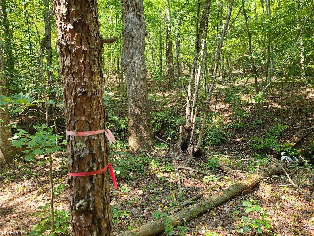 0 Grassy Knob Road, Unit 25 Pinnacle, NC 27043 - Photo 2 of 28