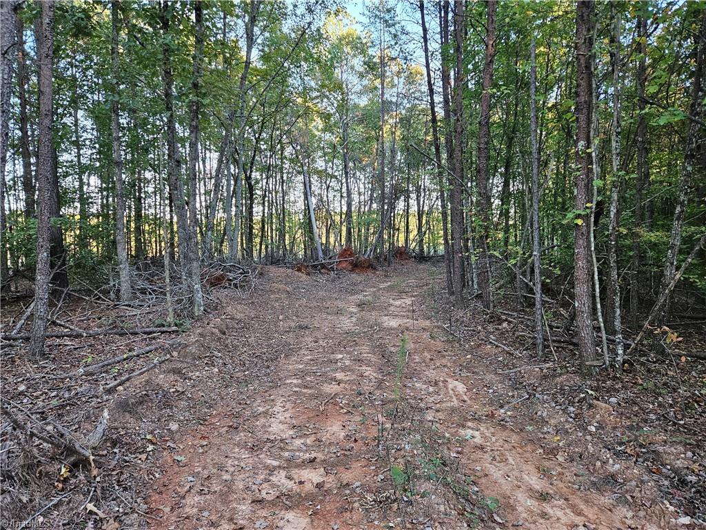 0 Grassy Knob Road, Unit 25 Pinnacle, NC 27043 - Photo 21 of 28