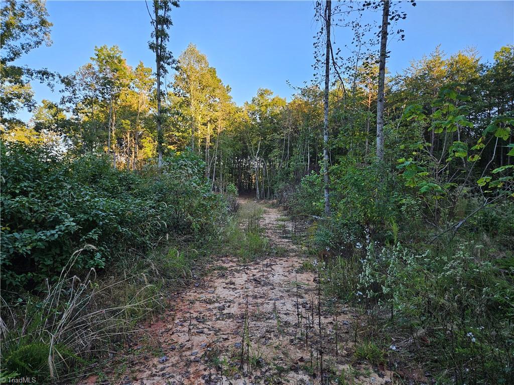 0 Grassy Knob Road, Unit 25 Pinnacle, NC 27043 - Photo 22 of 28