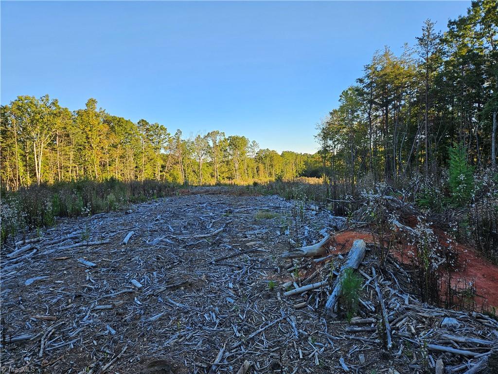 0 Grassy Knob Road, Unit 25 Pinnacle, NC 27043 - Photo 23 of 28