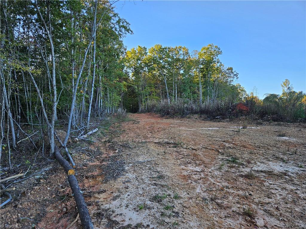 0 Grassy Knob Road, Unit 25 Pinnacle, NC 27043 - Photo 24 of 28