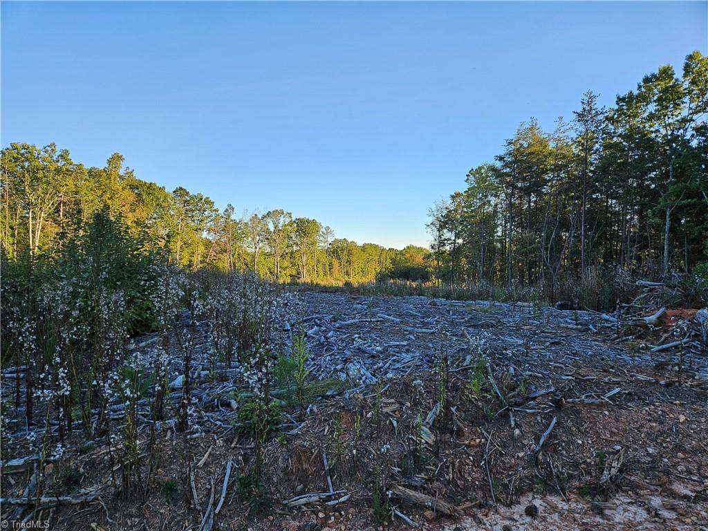 0 Grassy Knob Road, Unit 25 Pinnacle, NC 27043 - Photo 25 of 28