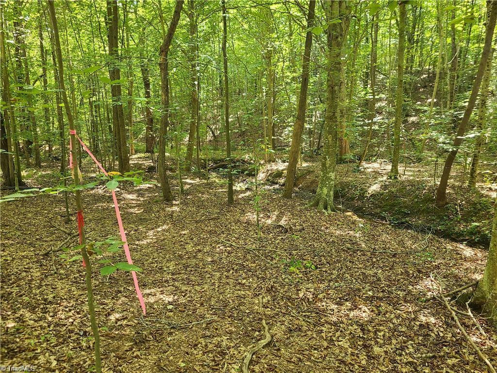 0 Grassy Knob Road, Unit 25 Pinnacle, NC 27043 - Photo 3 of 28