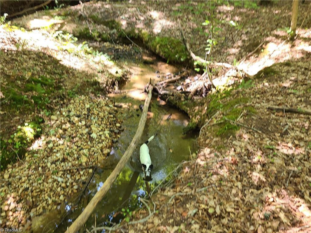 0 Grassy Knob Road, Unit 25 Pinnacle, NC 27043 - Photo 4 of 28