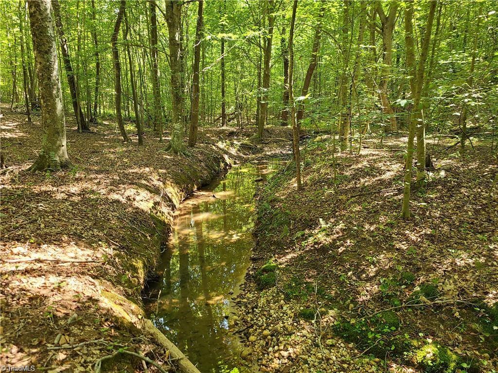 0 Grassy Knob Road, Unit 25 Pinnacle, NC 27043 - Photo 5 of 28