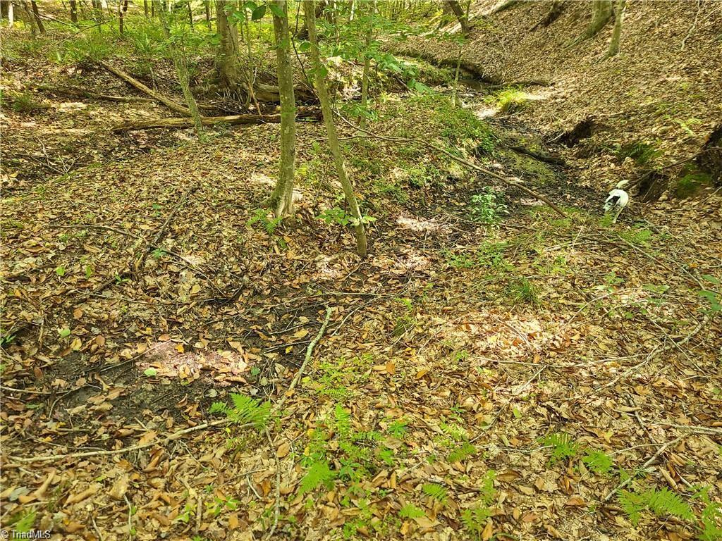 0 Grassy Knob Road, Unit 25 Pinnacle, NC 27043 - Photo 6 of 28