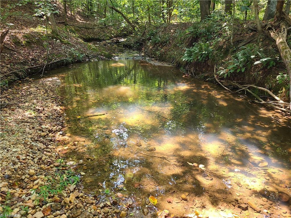 0 Grassy Knob Road, Unit 25 Pinnacle, NC 27043 - Photo 7 of 28