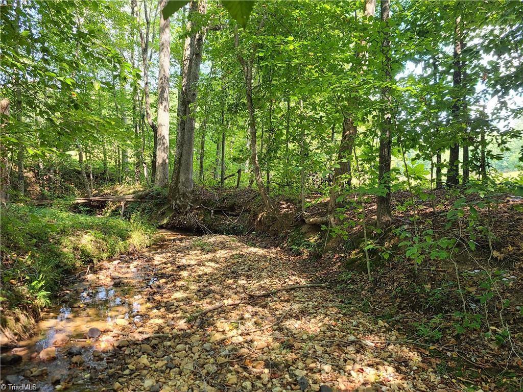 0 Grassy Knob Road, Unit 25 Pinnacle, NC 27043 - Photo 8 of 28