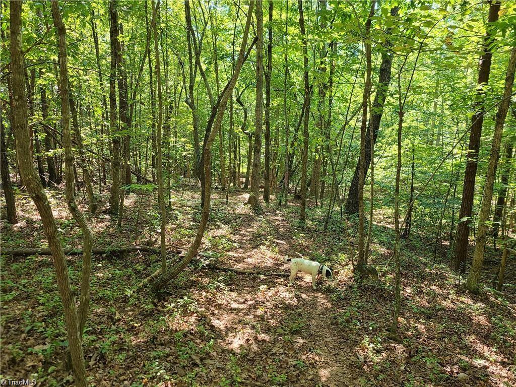 0 Grassy Knob Road, Unit 25 Pinnacle, NC 27043 - Photo 9 of 28