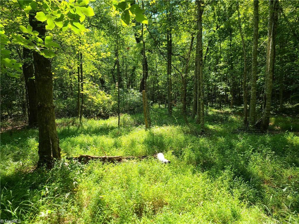 0 Grassy Knob Road, Unit 25 Pinnacle, NC 27043 - Photo 10 of 28