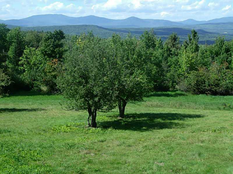 Tbd Mt Blue Pond Road Avon, ME 04966 - Photo 23 of 24 Land/Lot.