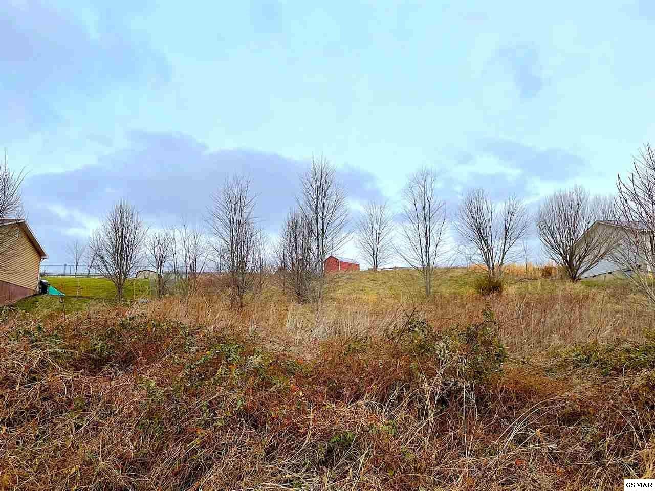 7 Ebenezer Road Chuckey, TN 37641 - Photo 4 of 8