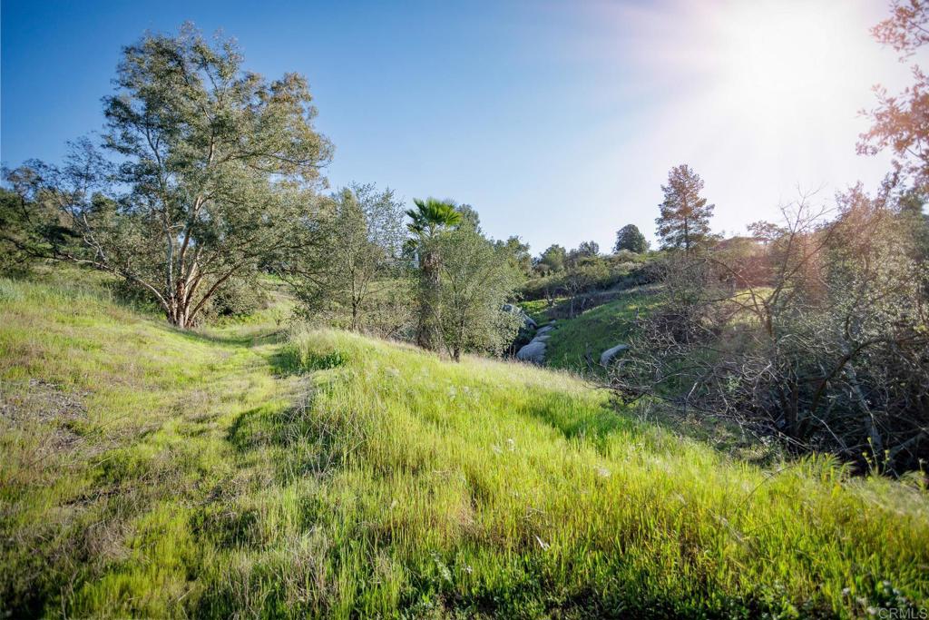 0 McNally Road Valley Center, CA 92082 - Photo 11 of 23