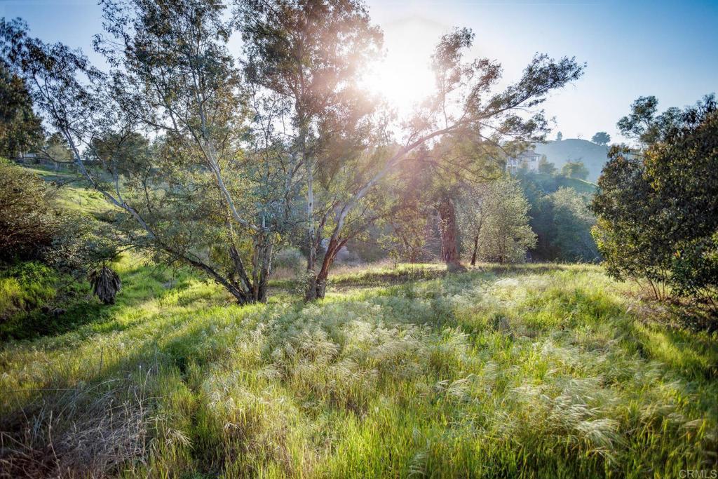 0 McNally Road Valley Center, CA 92082 - Photo 14 of 23