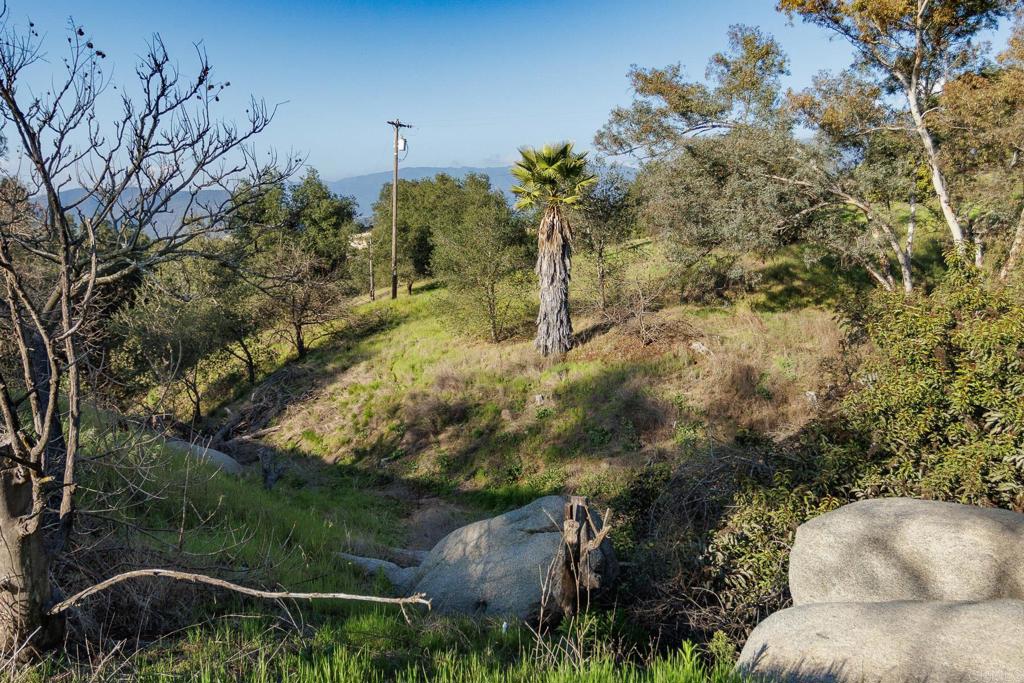 0 McNally Road Valley Center, CA 92082 - Photo 4 of 23