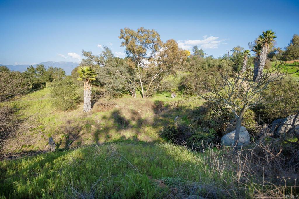 0 McNally Road Valley Center, CA 92082 - Photo 5 of 23