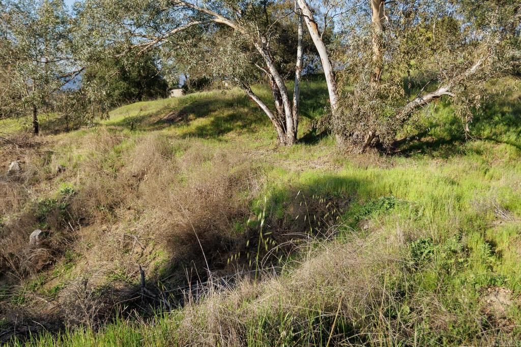 0 McNally Road Valley Center, CA 92082 - Photo 8 of 23