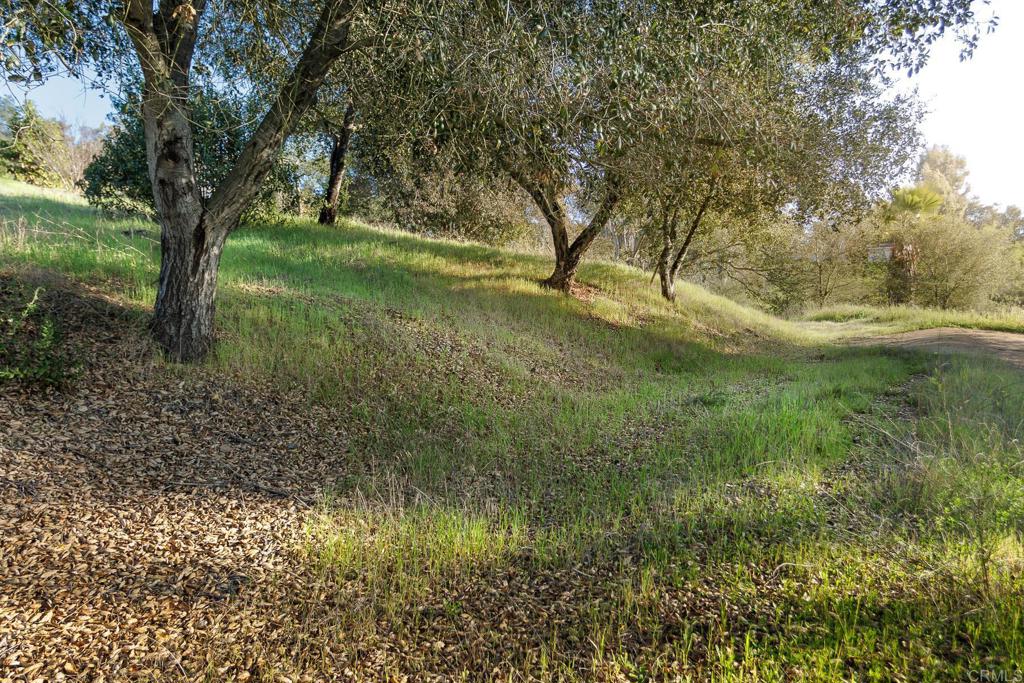 0 McNally Road Valley Center, CA 92082 - Photo 10 of 23