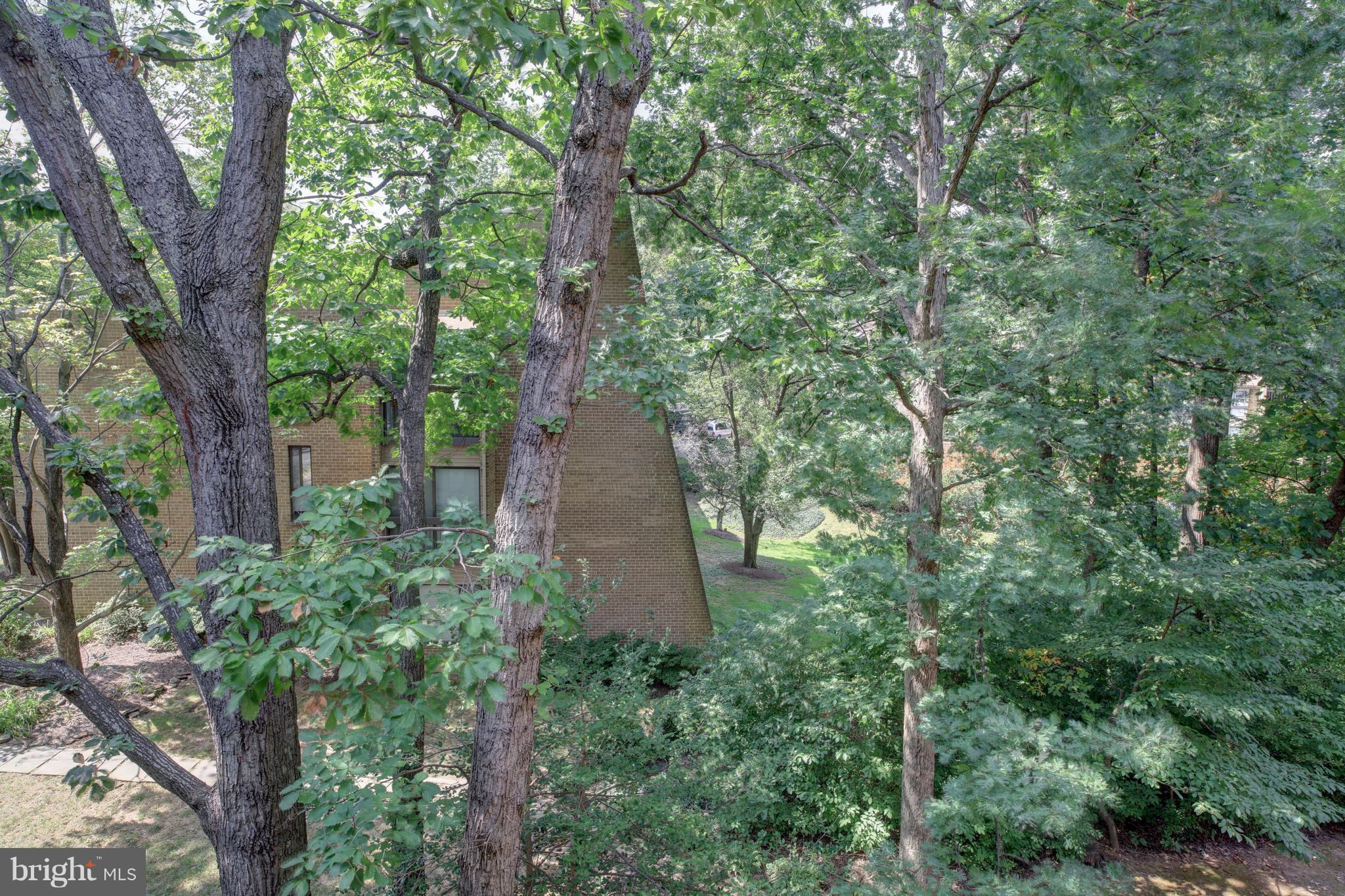 11616 Ivystone Court, Unit 301 Reston, VA 20191 - Photo 29 of 29 a view of a trees in a forest