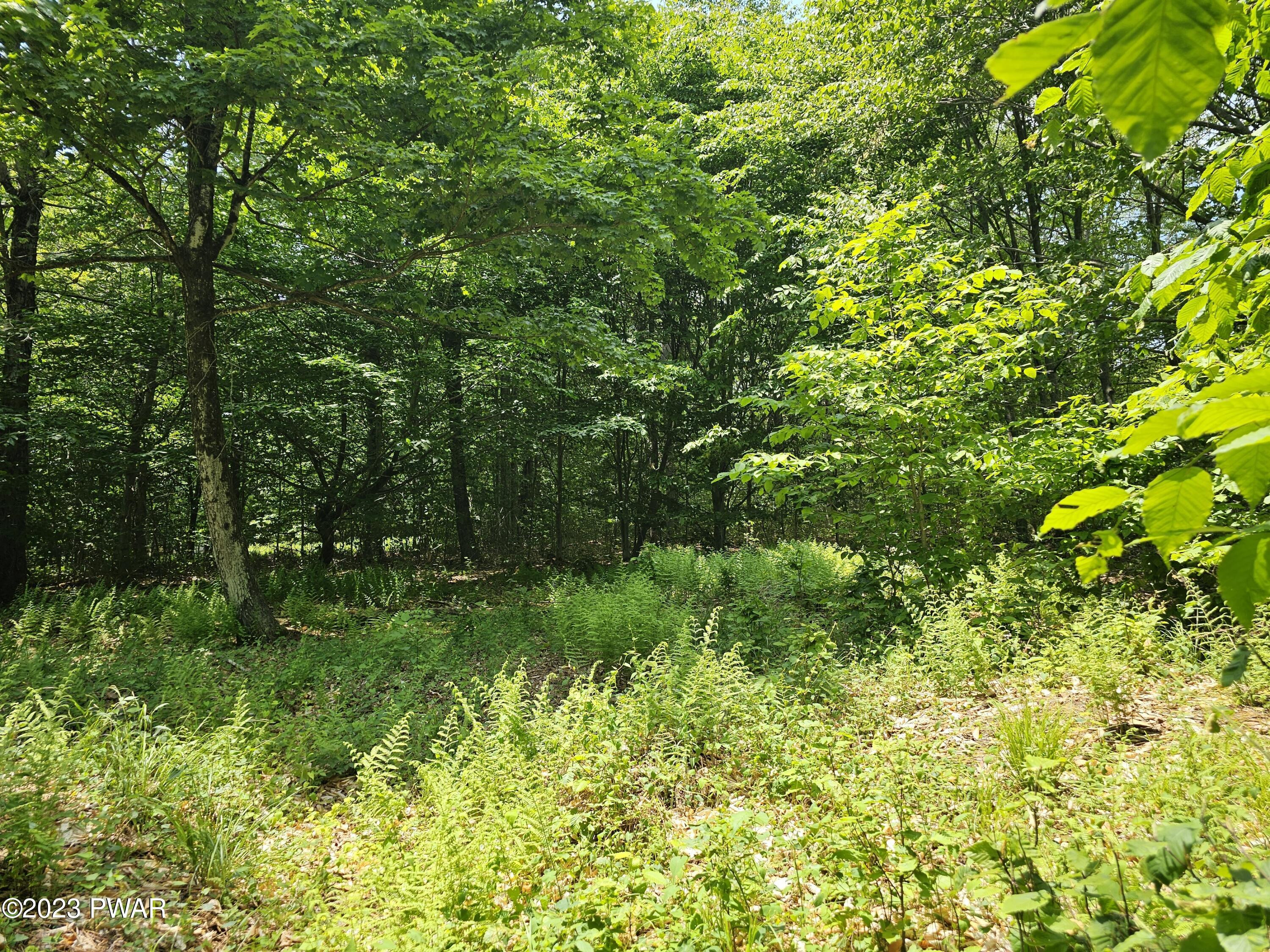 Lot 69 Stonegate Road Equinunk, PA 18417 - Photo 5 of 29