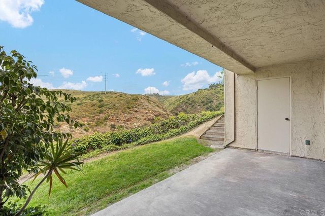 a view of a floor to ceiling window and a tree