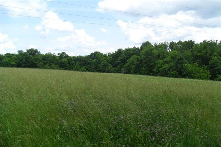8871 Stulltown Road Owingsville, KY 40360 - Photo 9 of 10 Photo 9