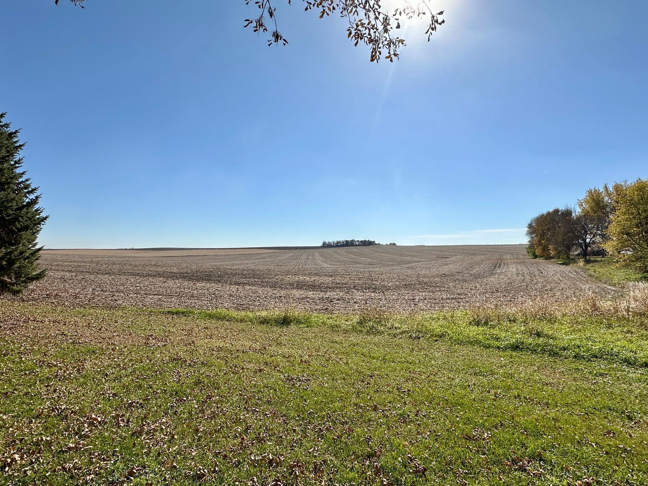 102 Prospect Street Hardwick, MN 56134 - Photo 38 of 40