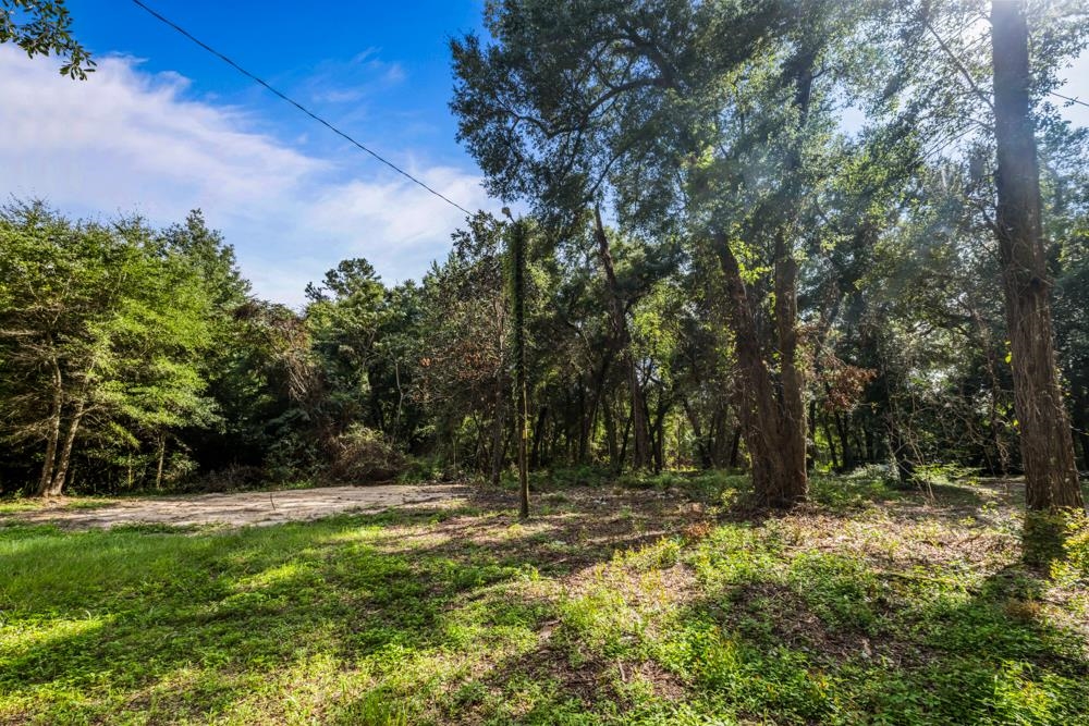 135 Ball Farm Road Quincy, FL 32352 - Photo 46 of 58