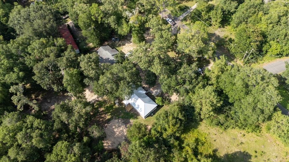 135 Ball Farm Road Quincy, FL 32352 - Photo 49 of 58