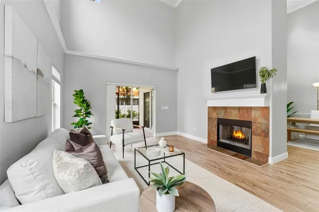 a view of a backyard with plants