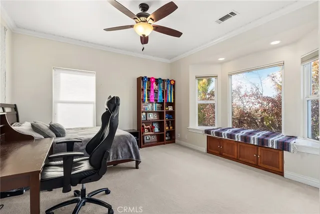 a view of yard with green space