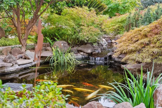a view of a yard with trees