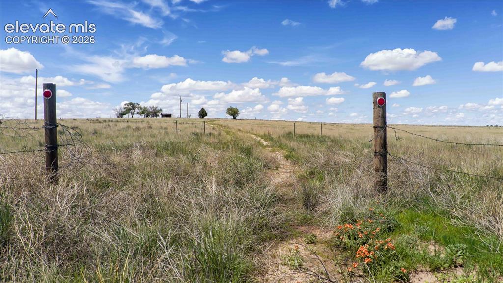 39320 Truckton Road Rush, CO 80833 - Photo 15 of 19