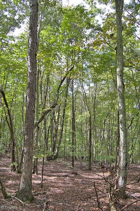 19 Mountain View Road King, NC 27021 - Photo 5 of 14 Gallery Image 5