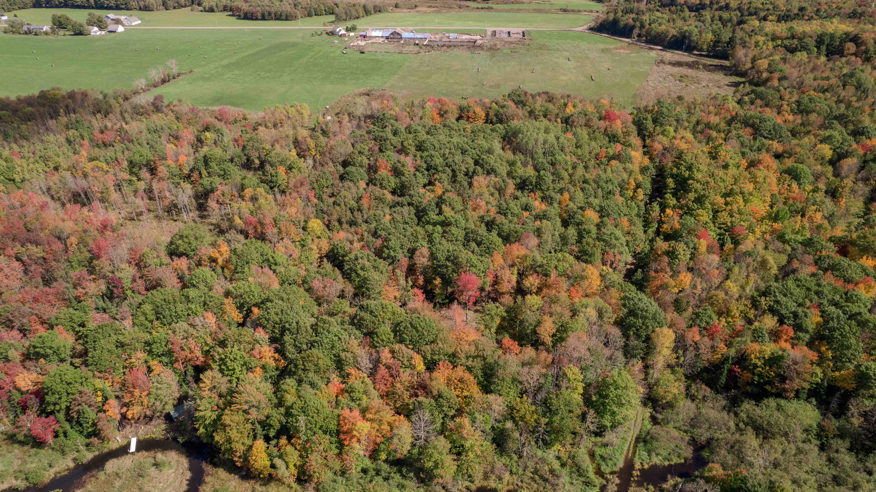 257 Pleasant View Ridge Road China, ME 04358 - Photo 35 of 73 35