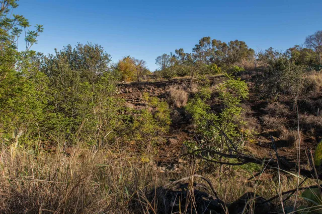 a view of ocean view with beach