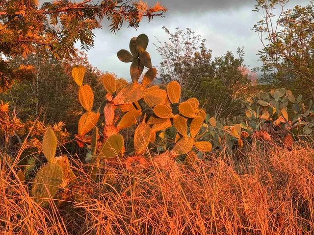 $2,000,000 | 0 Naele Road, Kula, HI 96790