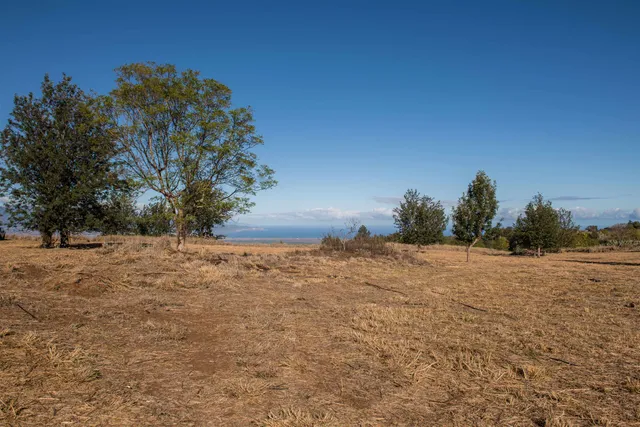 a backyard of a house with large trees
