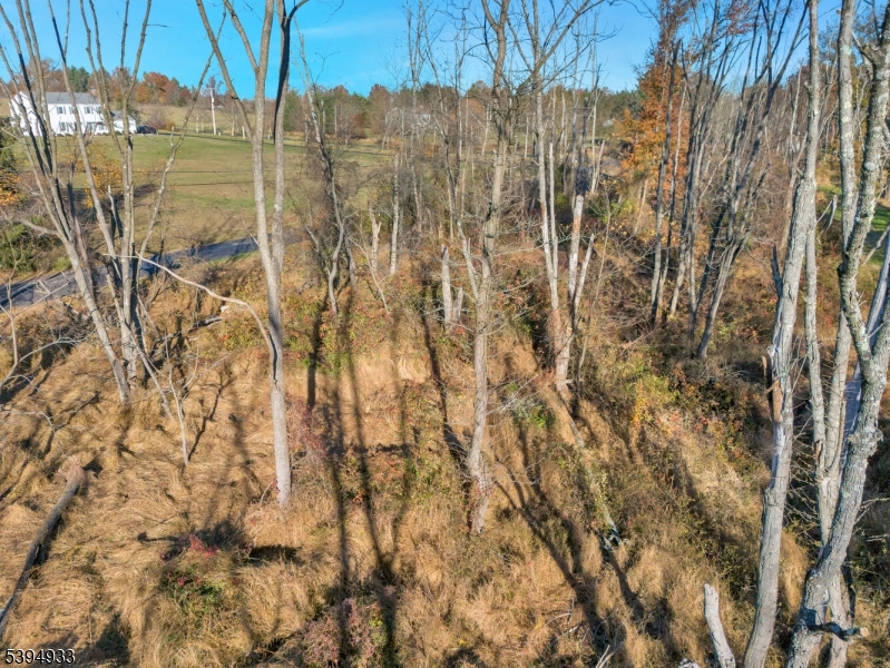 58 Dunkard Church Road Stockton, NJ 08559 - Photo 25 of 26 a view of a yard of the house