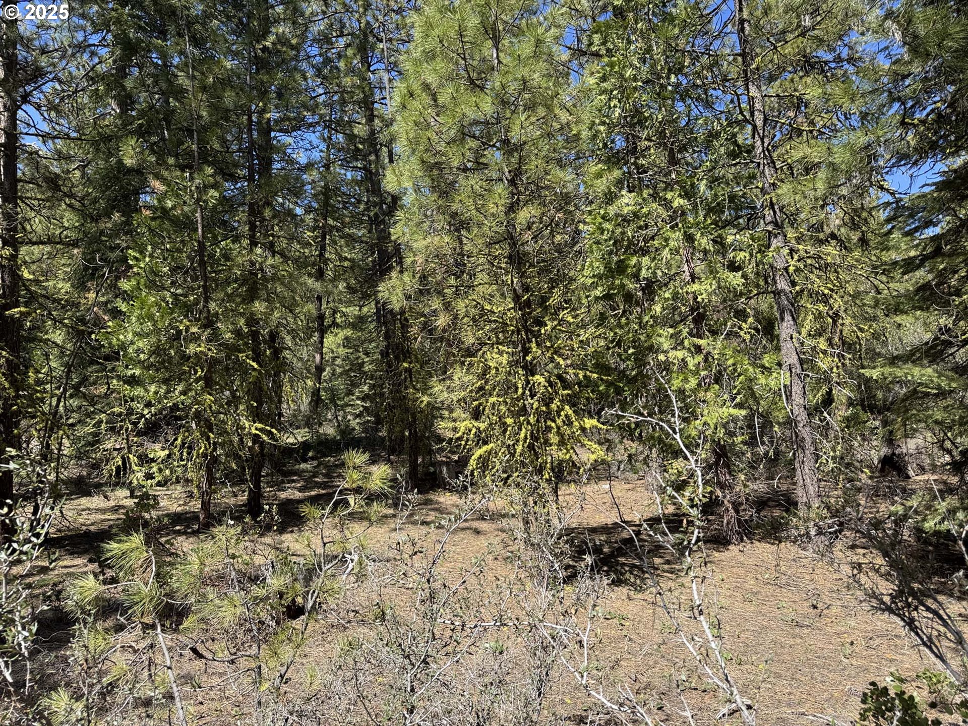 Horned Owl Lane Bonanza, OR 97623 - Photo 34 of 44