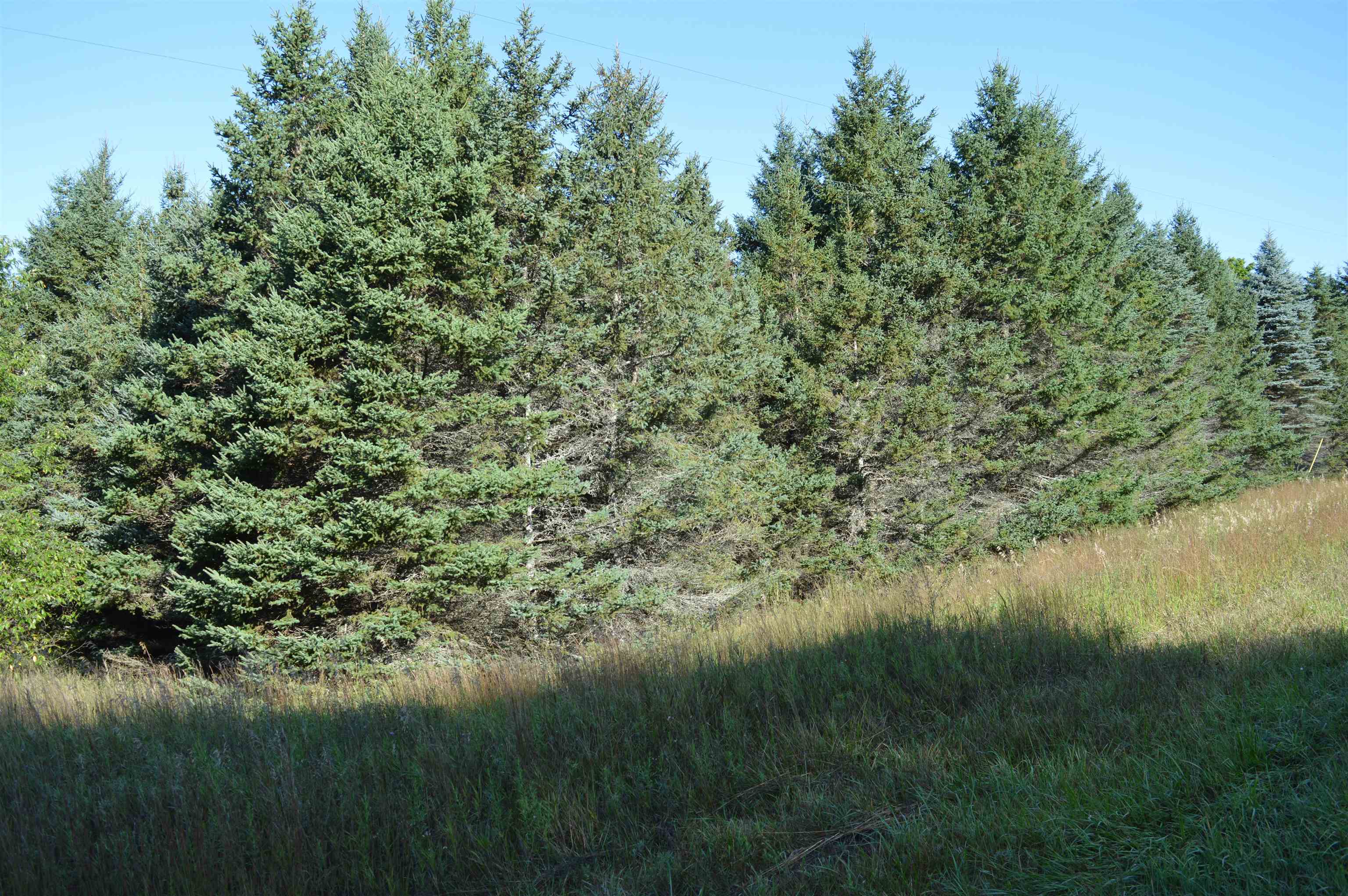 Gildas Rd Rapid Alden, MI 49612 - Photo 12 of 15