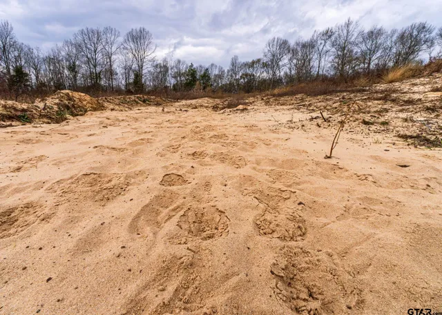 a view of a yard covered with snow