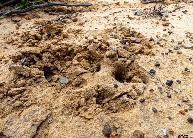 a view of a covered with snow