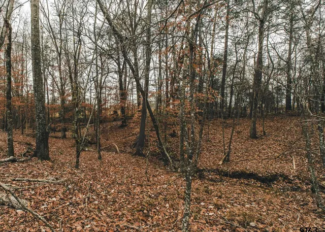 a backyard of a house with lots of trees