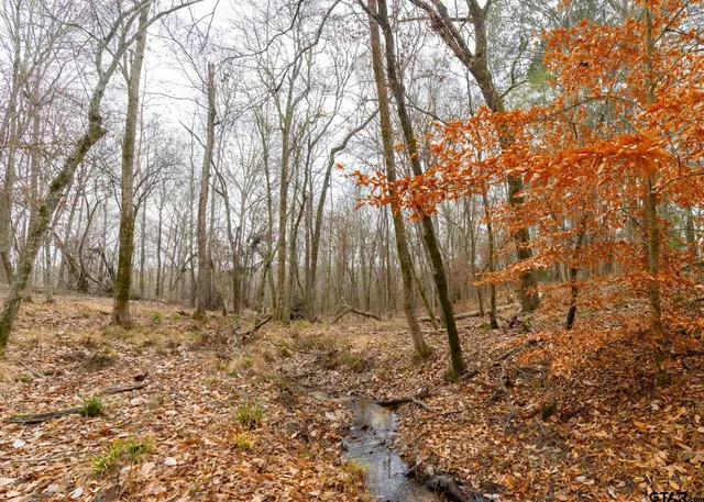 a view of mountain view with large trees